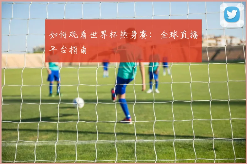 如何观看世界杯热身赛:全球直播平台指南