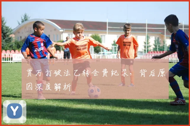 贾万打破法乙转会费纪录，背后原因深度解析