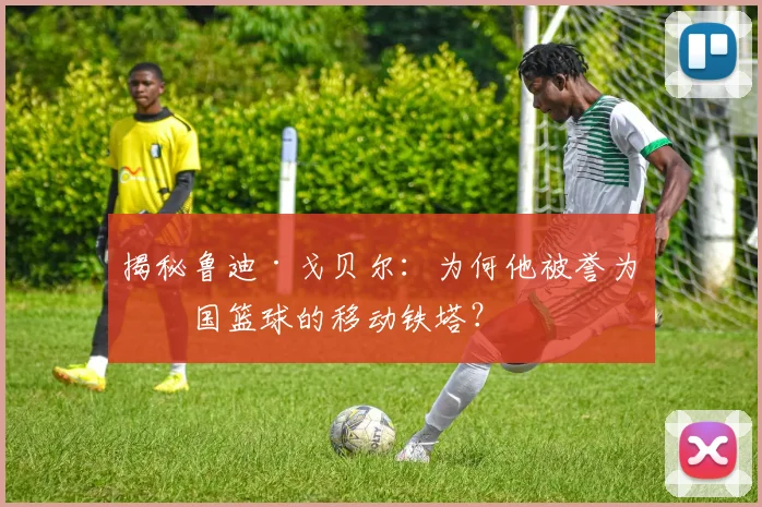 揭秘鲁迪·戈贝尔：为何他被誉为法国篮球的移动铁塔？