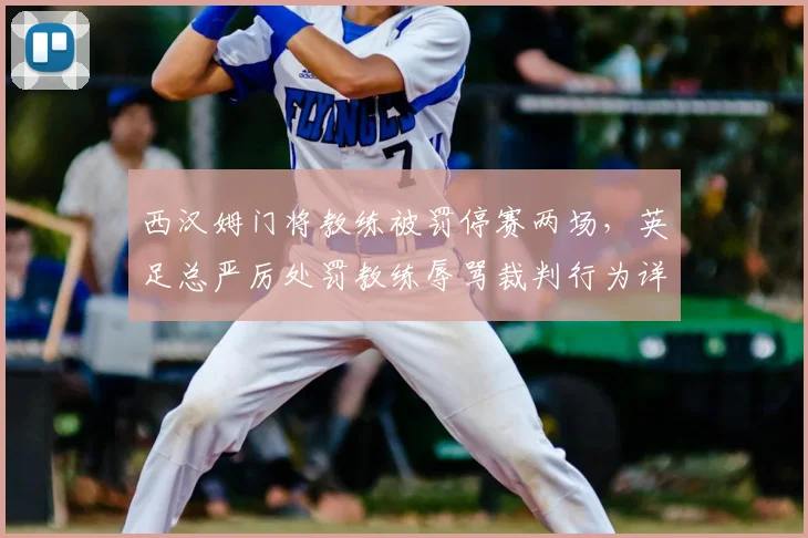 西汉姆门将教练被罚停赛两场，英足总严厉处罚教练辱骂裁判行为详解
