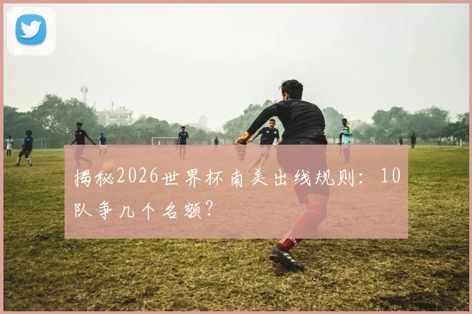 揭秘2026世界杯南美出线规则：10队争几个名额？