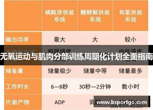 无氧运动与肌肉分部训练周期化计划全面指南