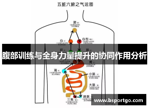 腹部训练与全身力量提升的协同作用分析